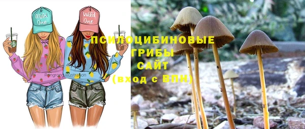 каннабис Алексин